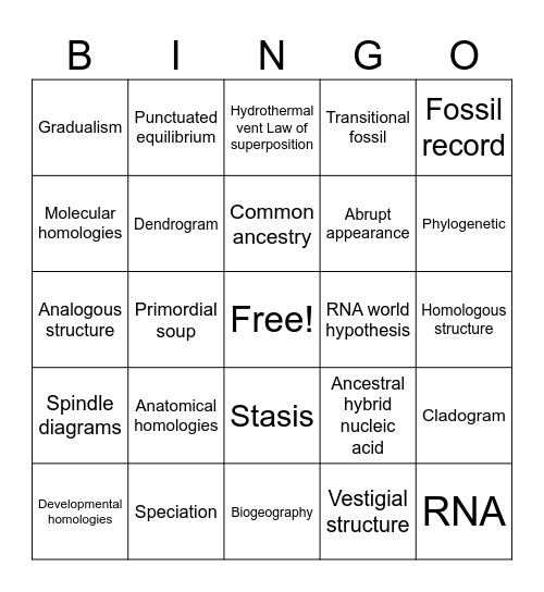 Evolution BINGO Card