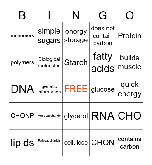 Biomolecules Bingo Card