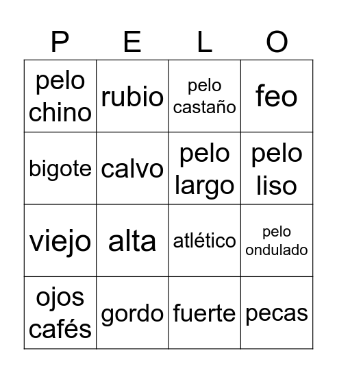 DESCRIPCION Bingo Card