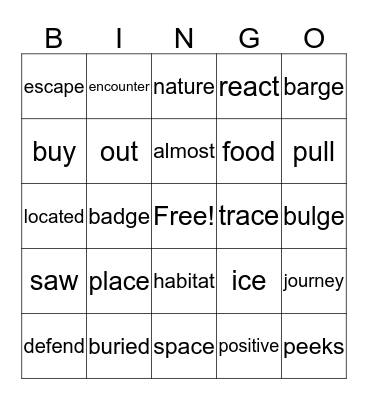 Unit 2 Week 3  Bingo Card