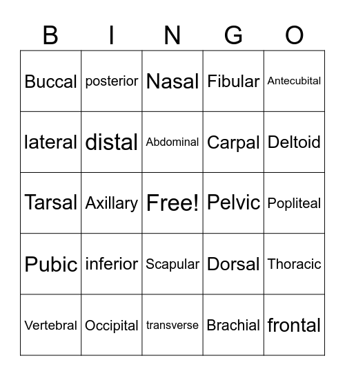 Anatomy and Physiology Bingo Card