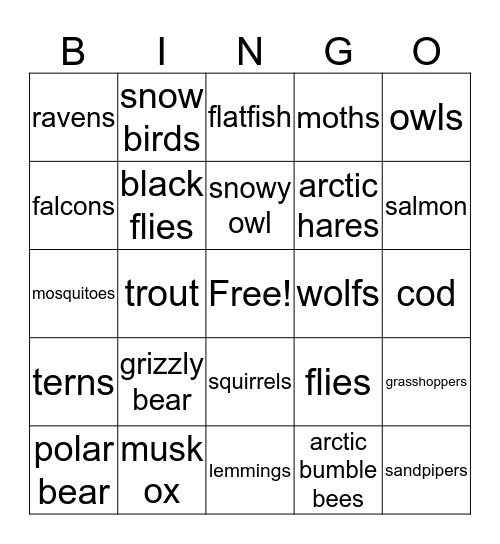 TUNDRA ANIMALS Bingo Card