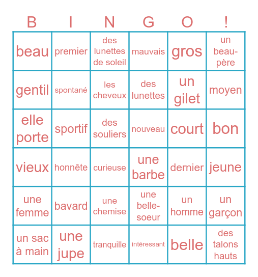 Les apparences / les adjectifs Bingo Card