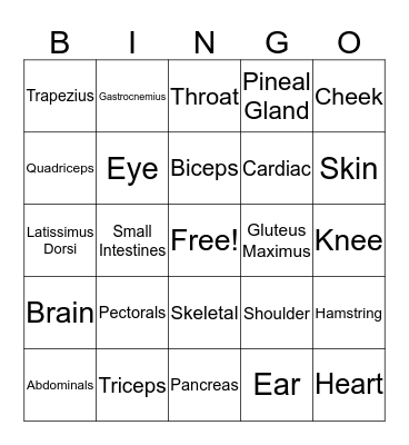 Anatomy Bingo Card