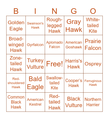 BIRDY Bingo Card