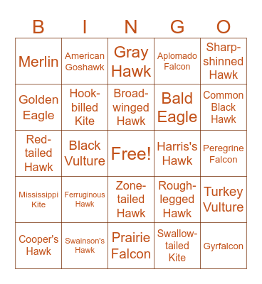 BIRDY Bingo Card