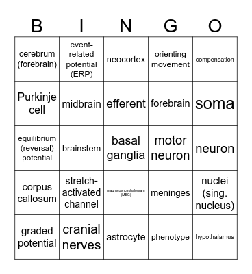 Unit 1 Bingo Card