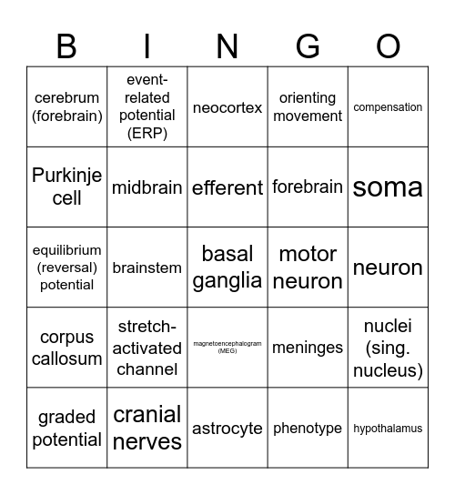 Unit 1 Bingo Card