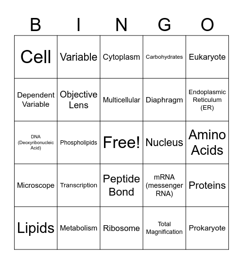 Unit 1 Vocabulary Bingo Card