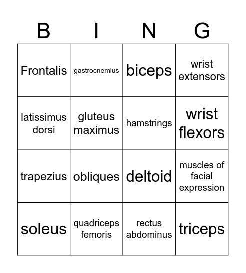 Muscle Bingo Card