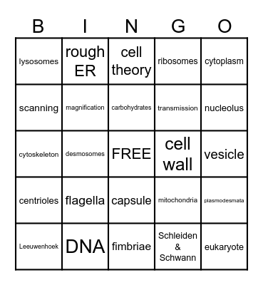 CELL STRUCTURE & FUNCTION BINGO Card