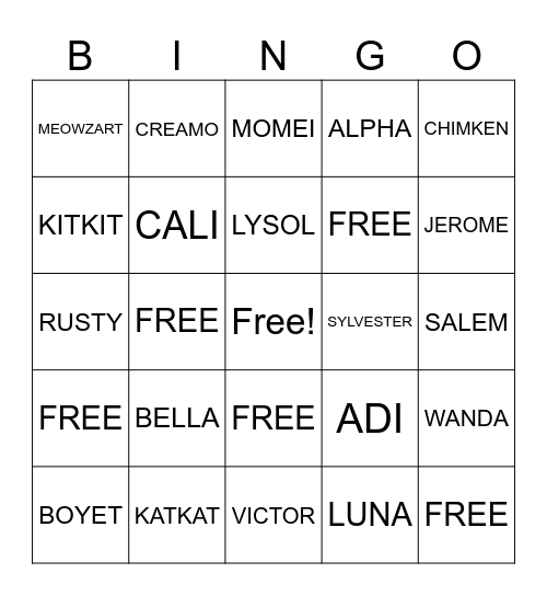 SLU CAT RESIDENCE Bingo Card