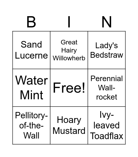 Wildflower Bingo Card