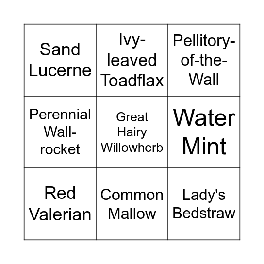 Wildflower Bingo Card