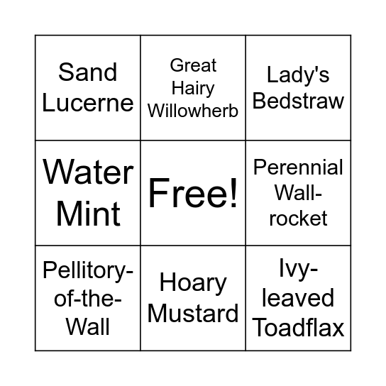 Wildflower Bingo Card