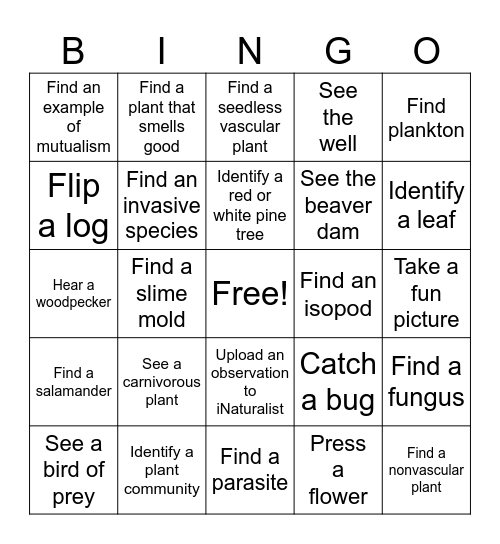Fish Lake Bingo Card