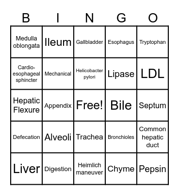 Unit Three review Bingo Card