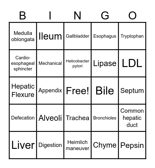 Unit Three review Bingo Card