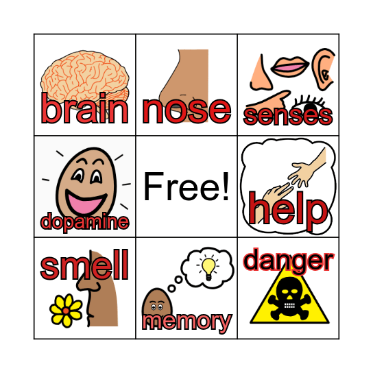 Smell Sense Bingo Card