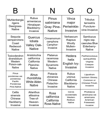 Bidwell Park Botany Bingo Card