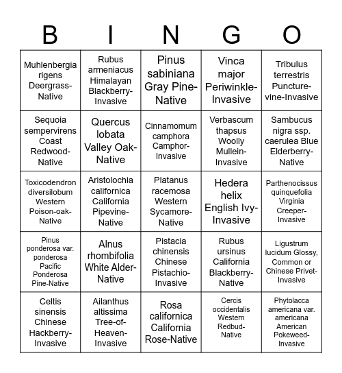 Bidwell Park Botany Bingo Card