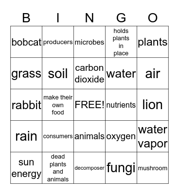 Ecosystem Bingo Card