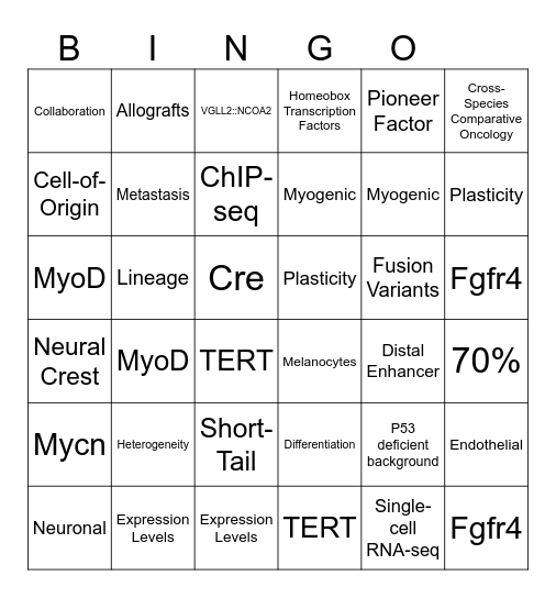 T32 Talk Bingo Card