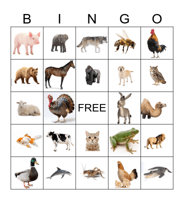 Animal Sounds Bingo Card
