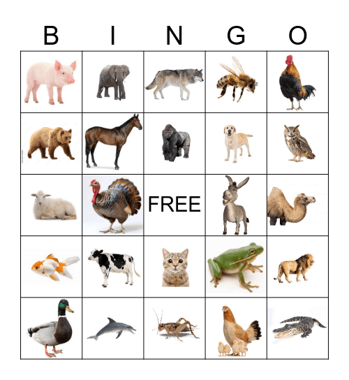 Animal Sounds Bingo Card