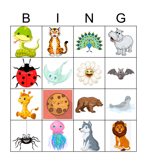 Animals Bingo Card