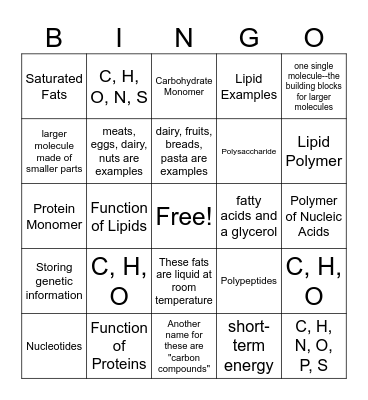 Macromolecule Bingo Card