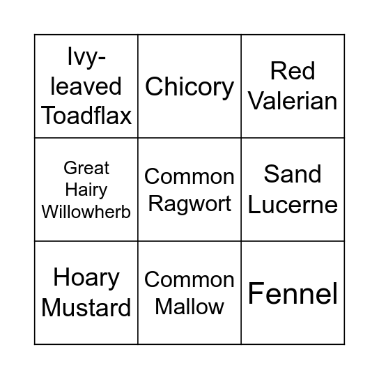 Wildflower Bingo! Bingo Card