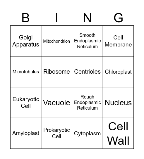 Organelles Bingo Card