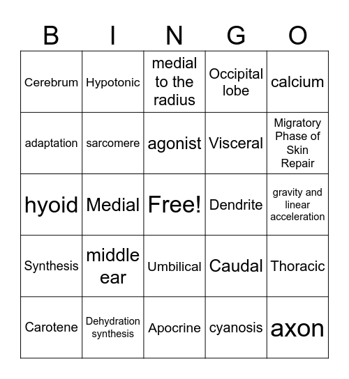 Ch. 1-9 Test Review Bingo Card