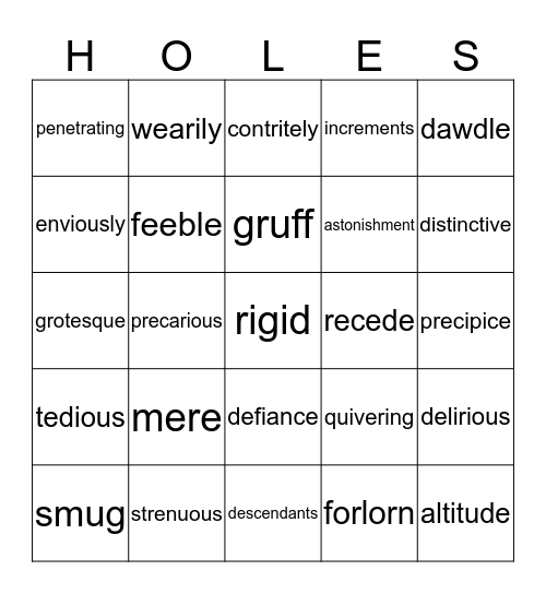 Holes Vocabulary Bingo  Bingo Card