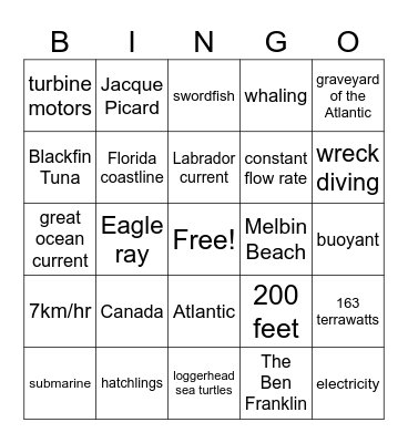 Gulf Stream-Earth's Lifeline Bingo Card