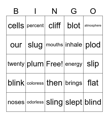 2 Syllable & Blends Bingo Card