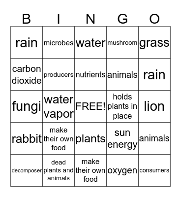 Ecosystem Bingo Card