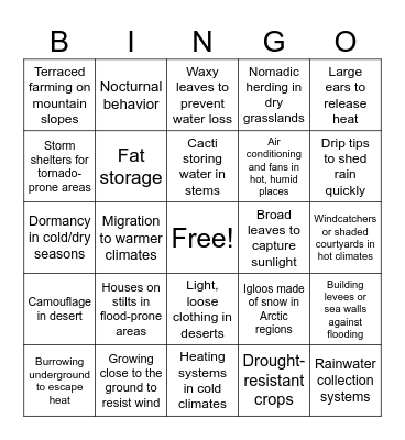 Adaptation Bingo Card