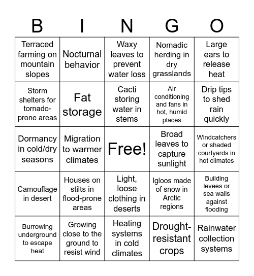 Adaptation Bingo Card