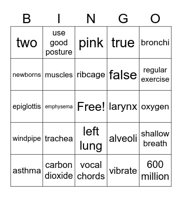Respiratory System Bingo Card