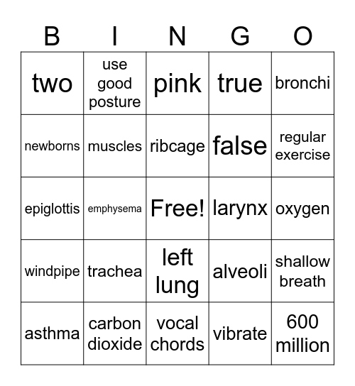 Respiratory System Bingo Card