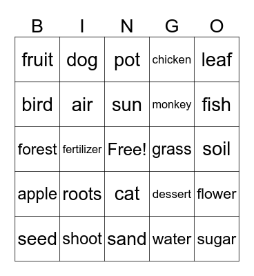 Plant Characteristics Bingo Card