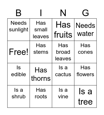 PLANT CHARACTERISTICS Bingo Card