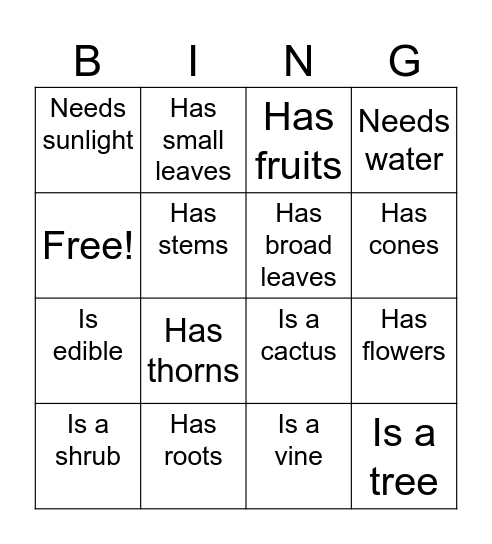 PLANT CHARACTERISTICS Bingo Card