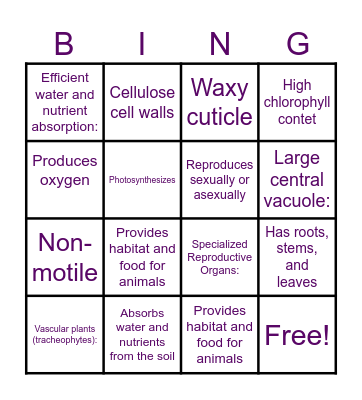 Plant Characteristics Bingo: Bingo Card