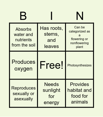 PLANT CHARACTERISTICS Bingo Card