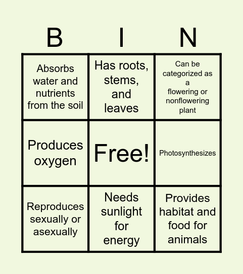 PLANT CHARACTERISTICS Bingo Card