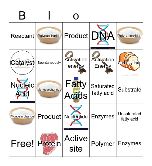 We're Going To Do Awesome on Biology Test 2! Bingo Card