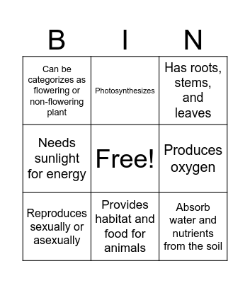 Classification of Plants Bingo Card